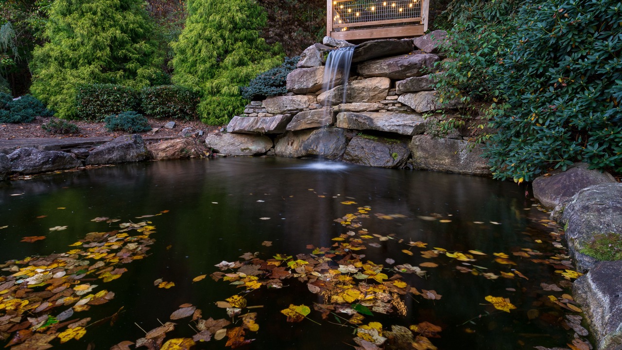 Photo of Outdoor in Maggie Valley