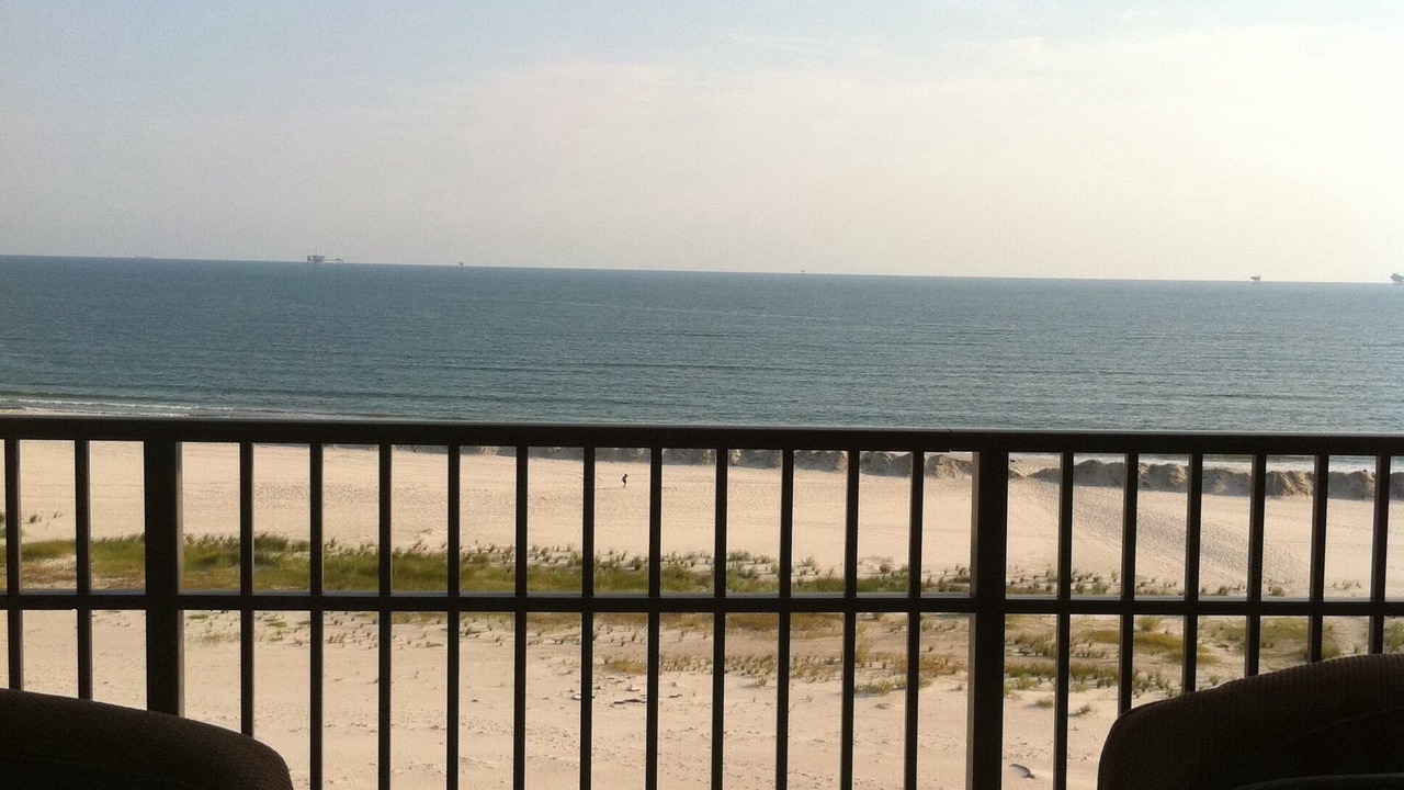 Photo of Outdoor in Dauphin Island