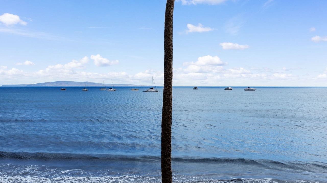 Photo of Others in Kihei