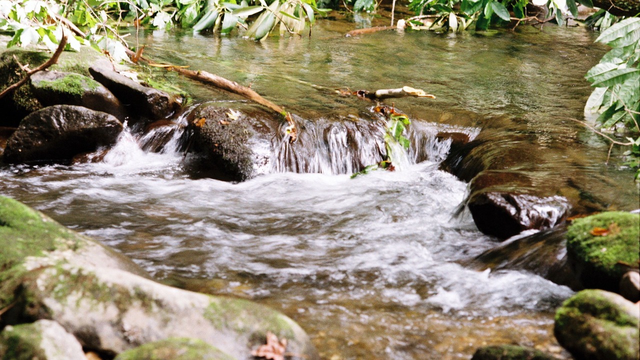 Photo of Outdoor in Rocky Grove