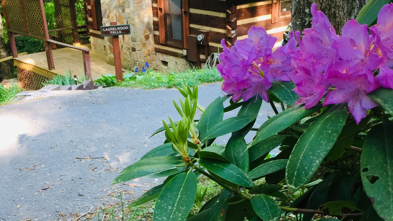 Photo of Outdoor in Rocky Grove