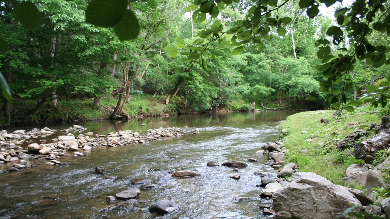 Photo of Others in Hot Springs