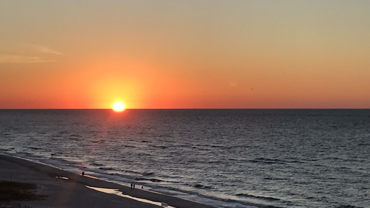 Photo of Others in Orange Beach East