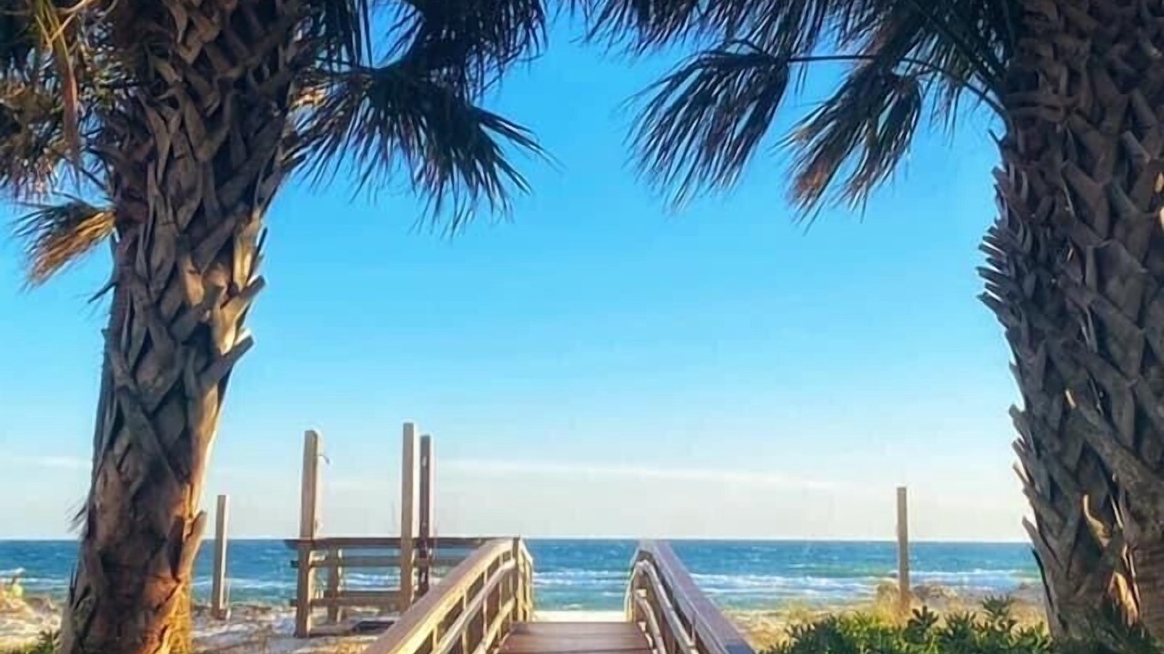 Photo of Others in Orange Beach East