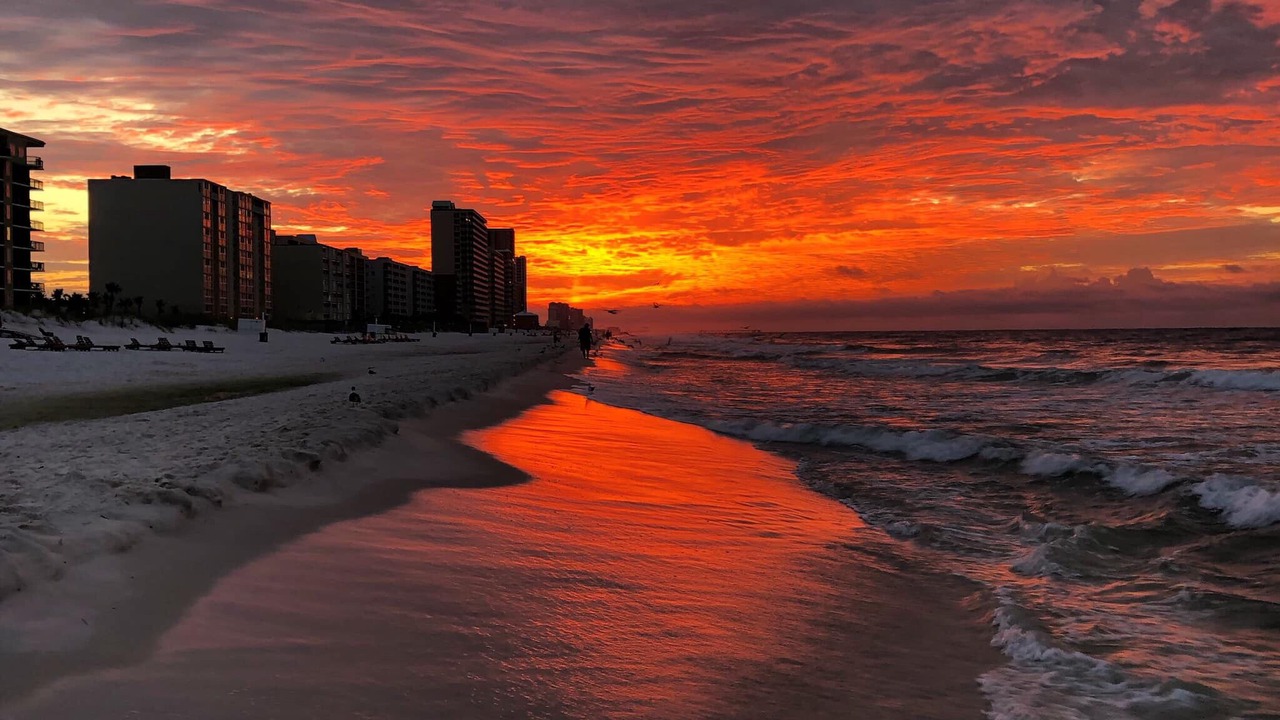 Photo of Others in Orange Beach East