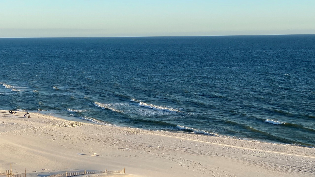 Photo of Others in Orange Beach East