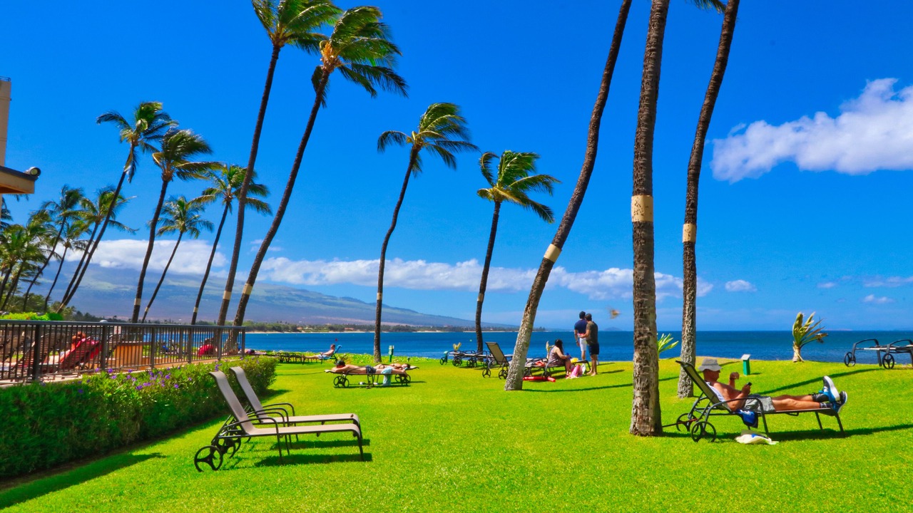 Photo of Outdoor in Kihei
