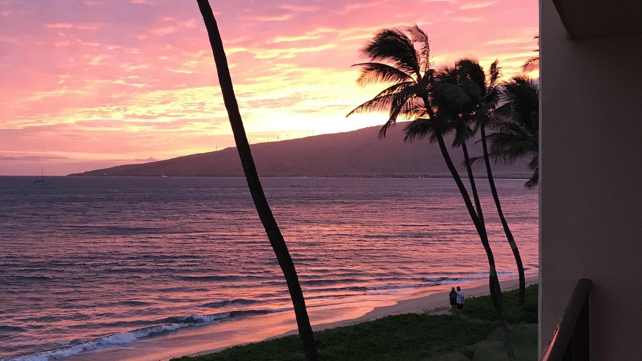 Photo of Outdoor in Kihei