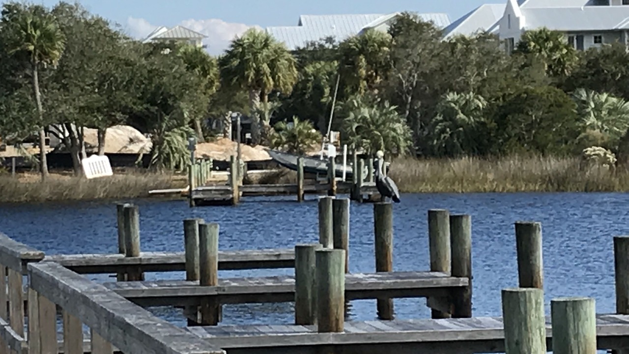 Photo of Outdoor in Sunnyside