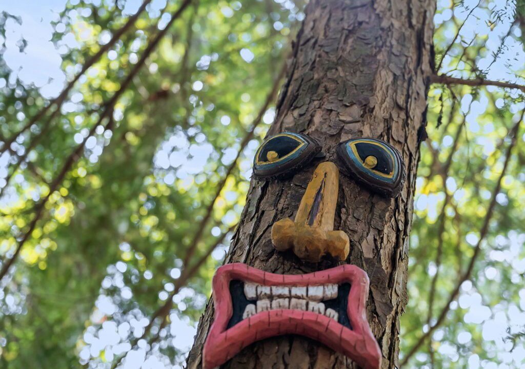 Photo of Others in Mentone