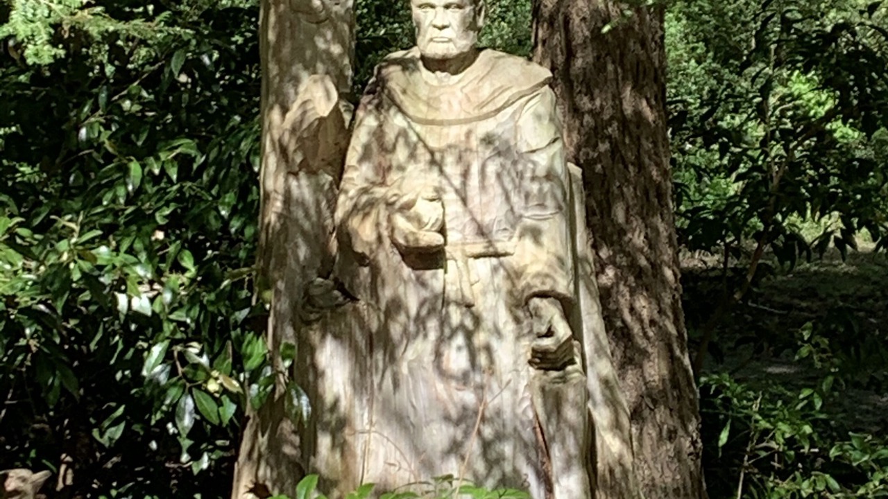 Photo of Outdoor in Mentone