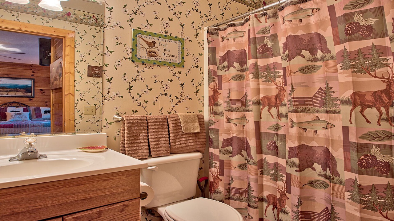Photo of Bathroom in Maggie Valley