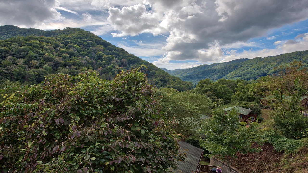 Photo of Others in Maggie Valley
