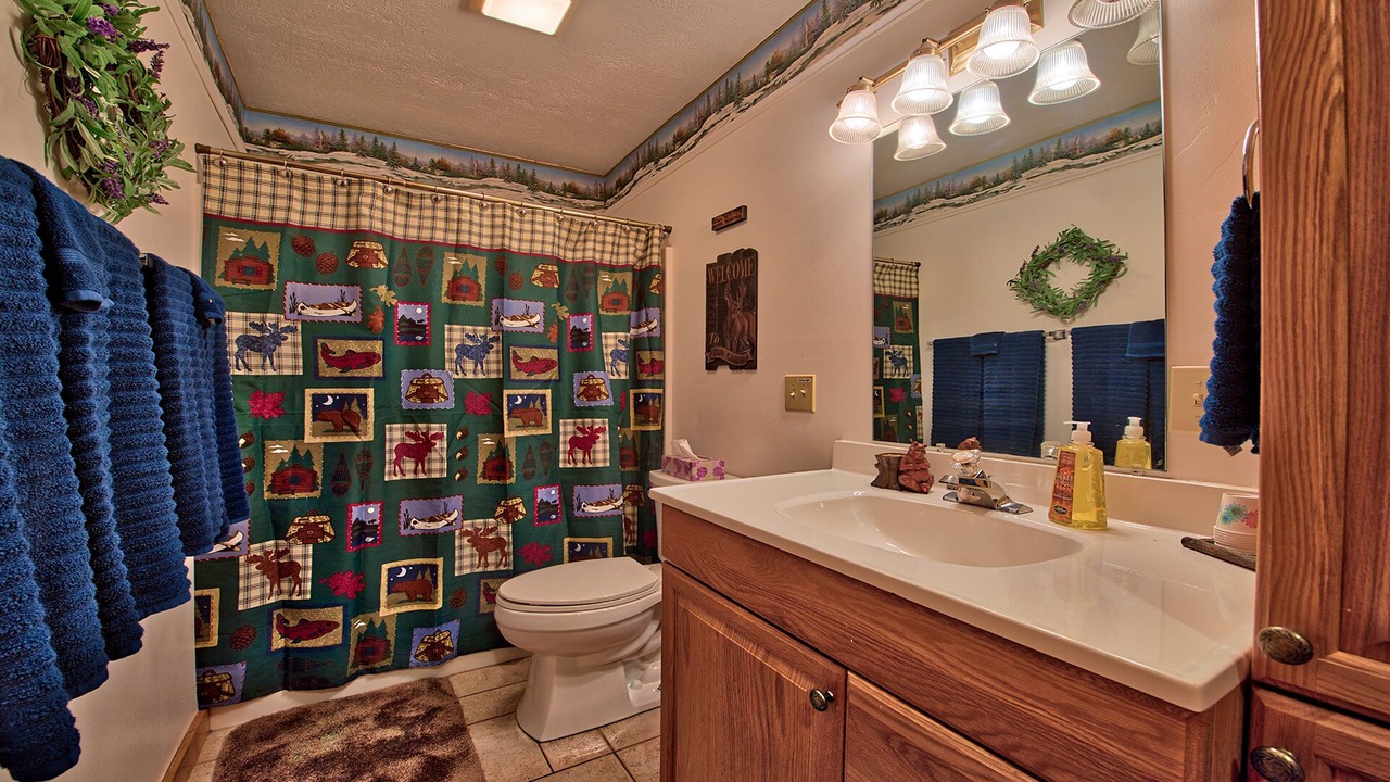 Photo of Bathroom in Maggie Valley