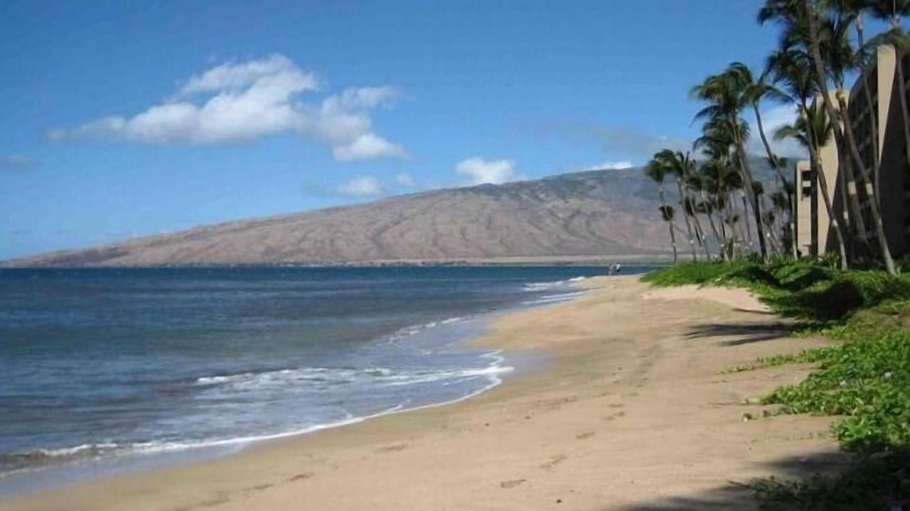 Photo of Others in Kihei