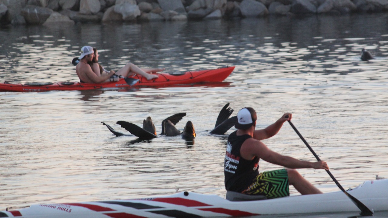 Photo of Others in Townsite