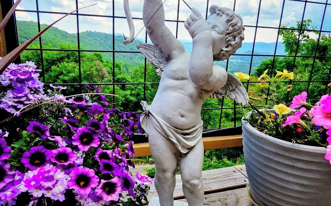 Photo of Outdoor in Asheville