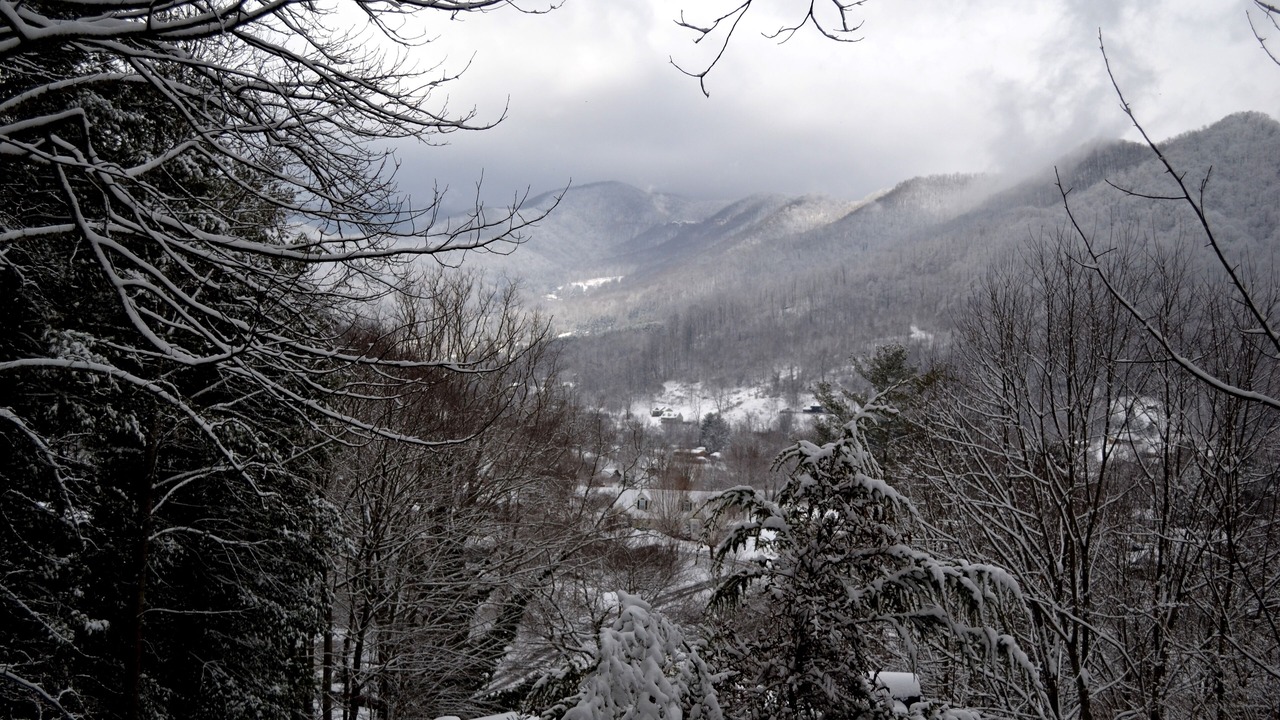 Photo of Others in Waynesville