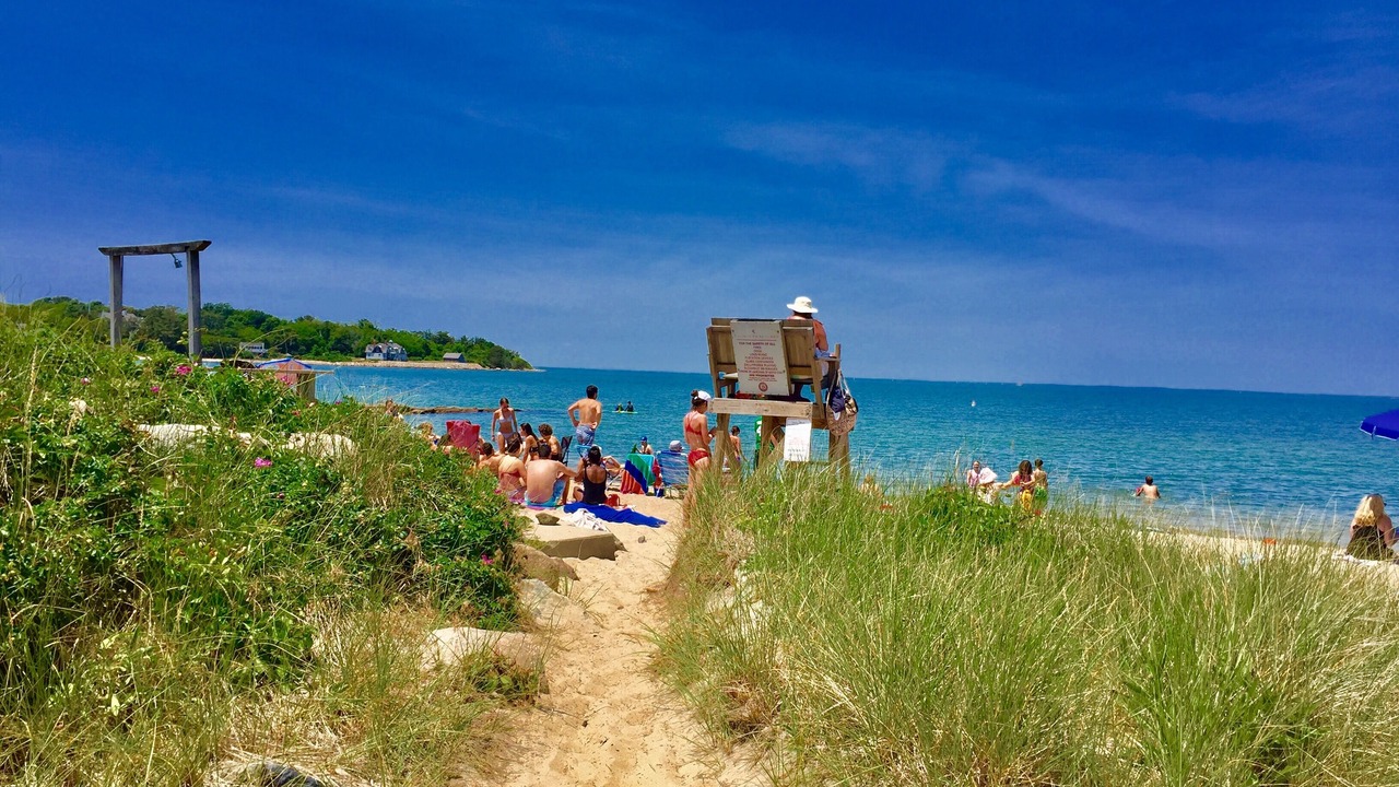 Photo of Others in Woods Hole