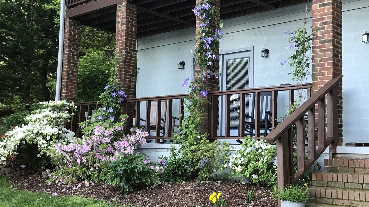 Photo of Outdoor in Mayhew