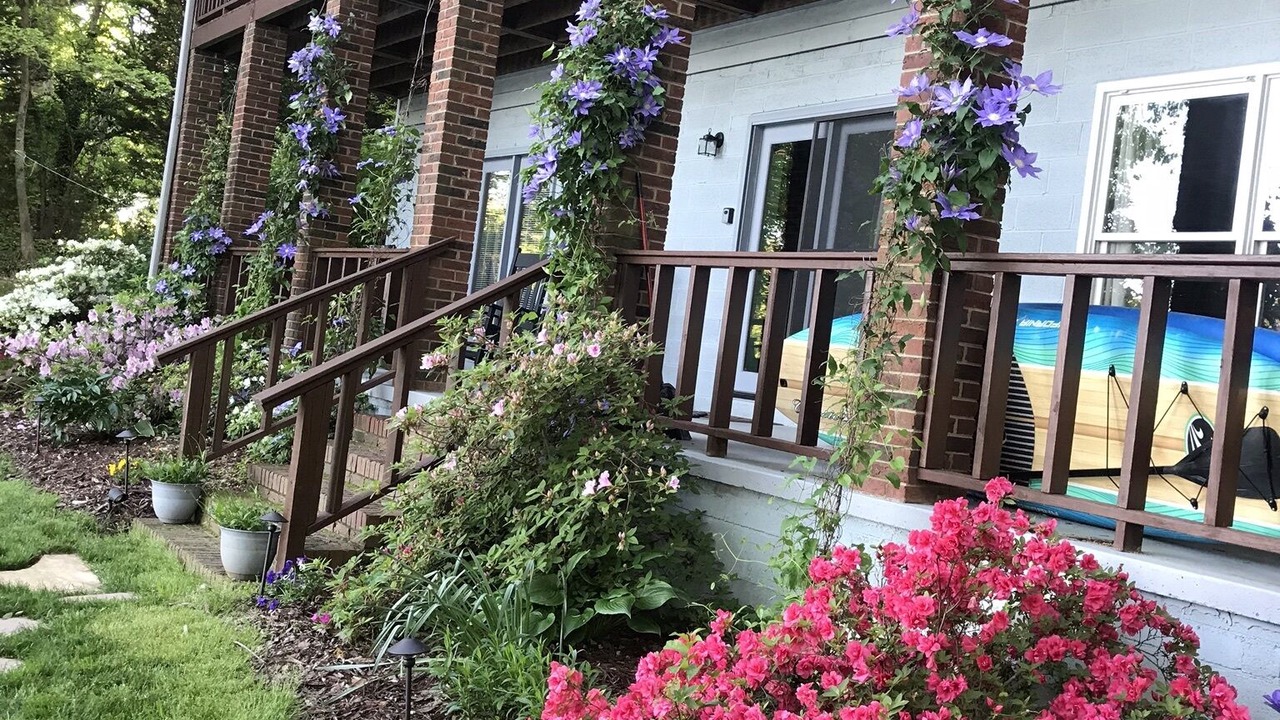 Photo of Outdoor in Mayhew