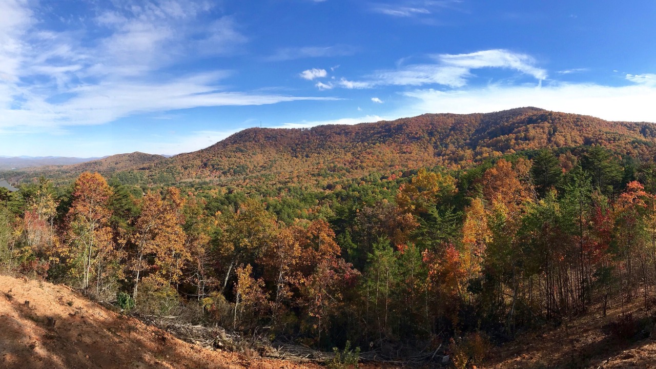 Photo of Others in Blue Ridge