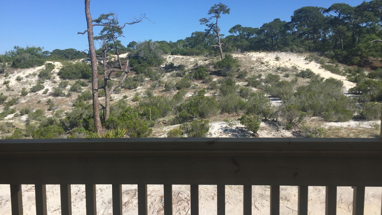 Photo of Others in Dauphin Island