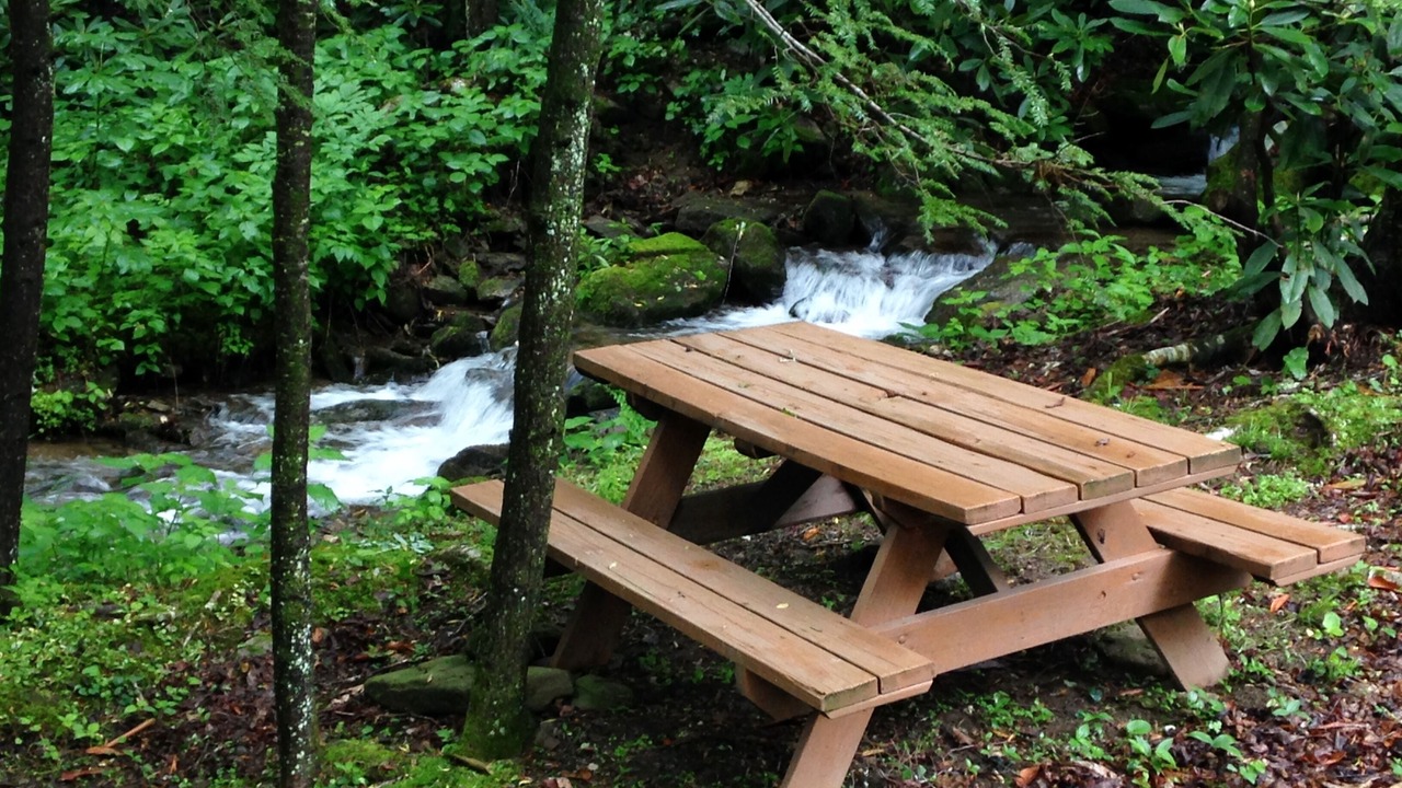 Photo of Others in Maggie Valley