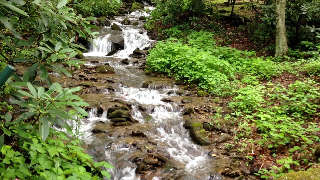 Photo of Others in Maggie Valley