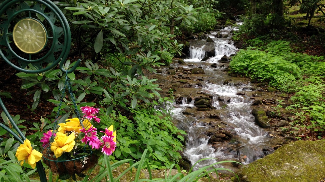 Photo of Others in Maggie Valley