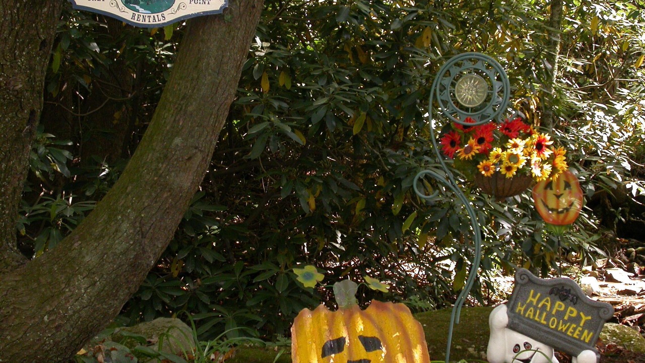 Photo of Outdoor in Maggie Valley