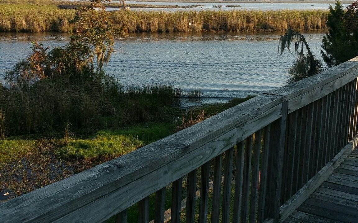 Photo of Outdoor in Slidell