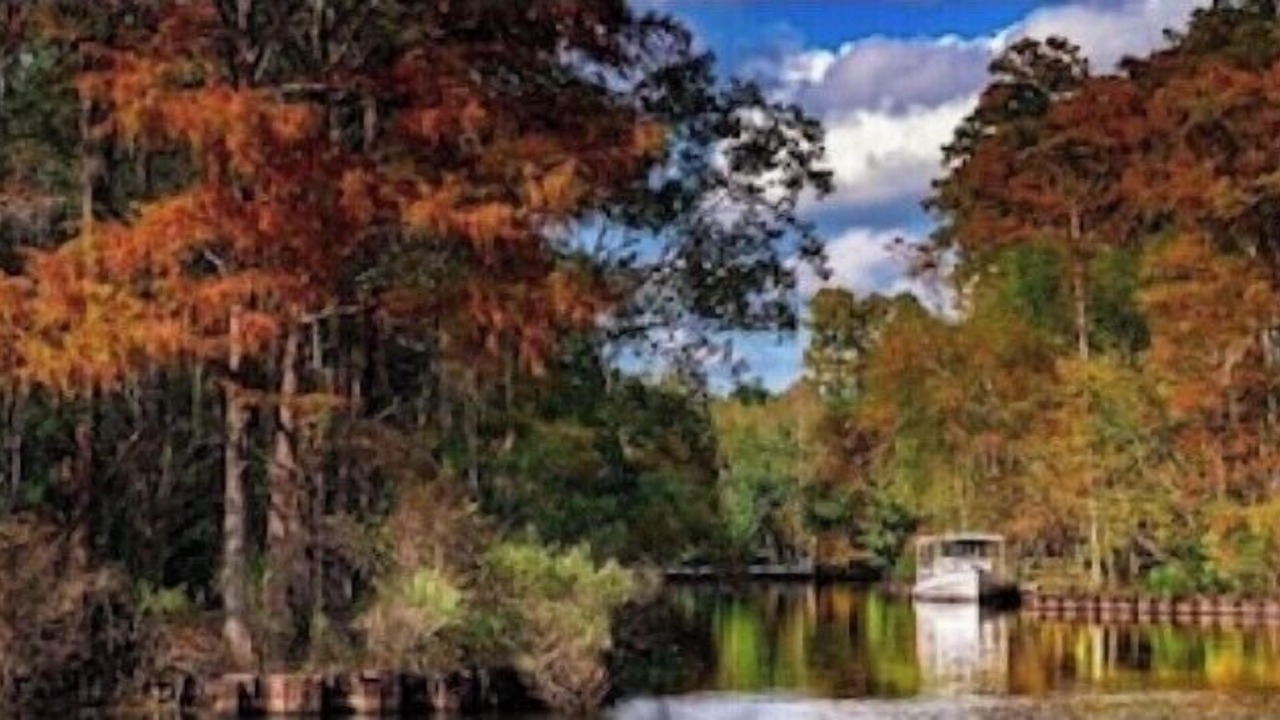 Photo of Others in Slidell