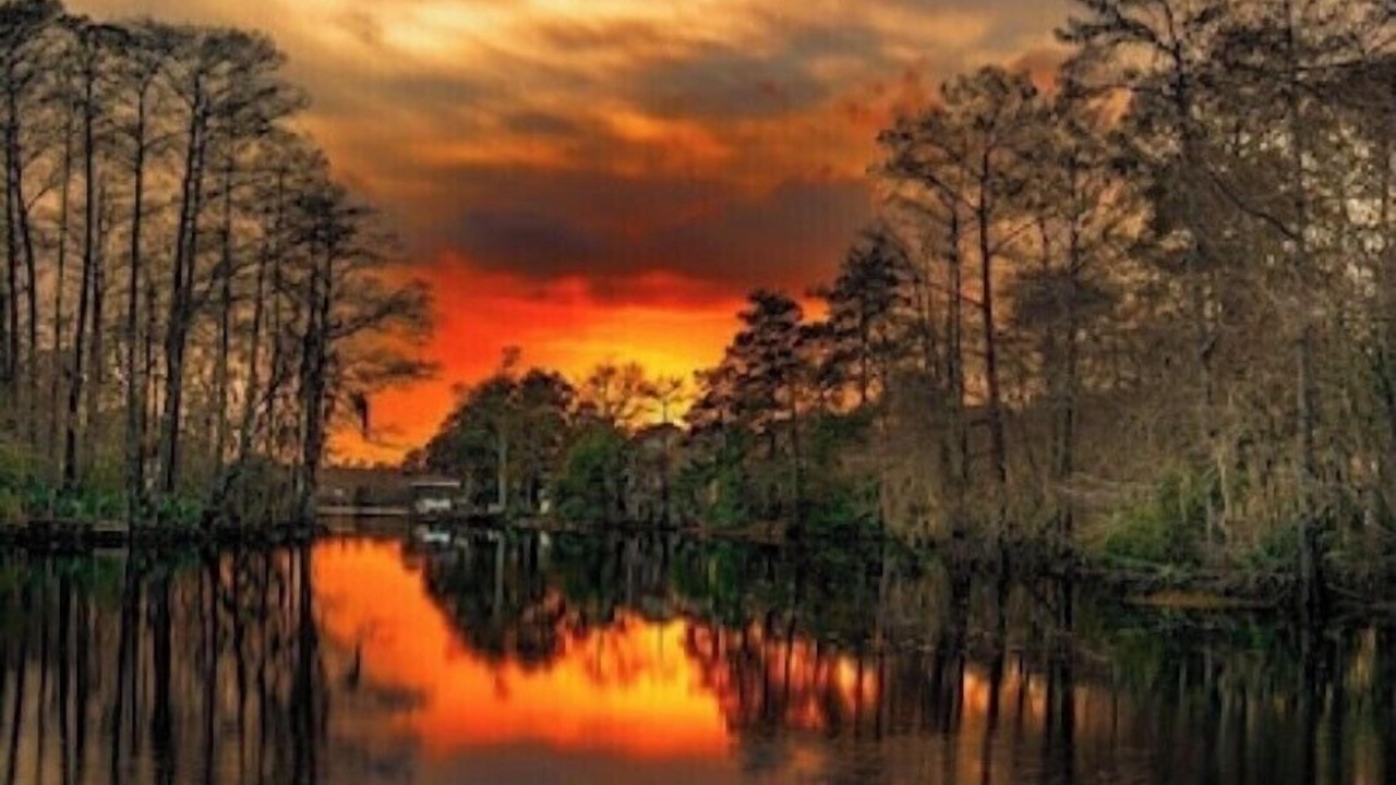 Photo of Others in Slidell