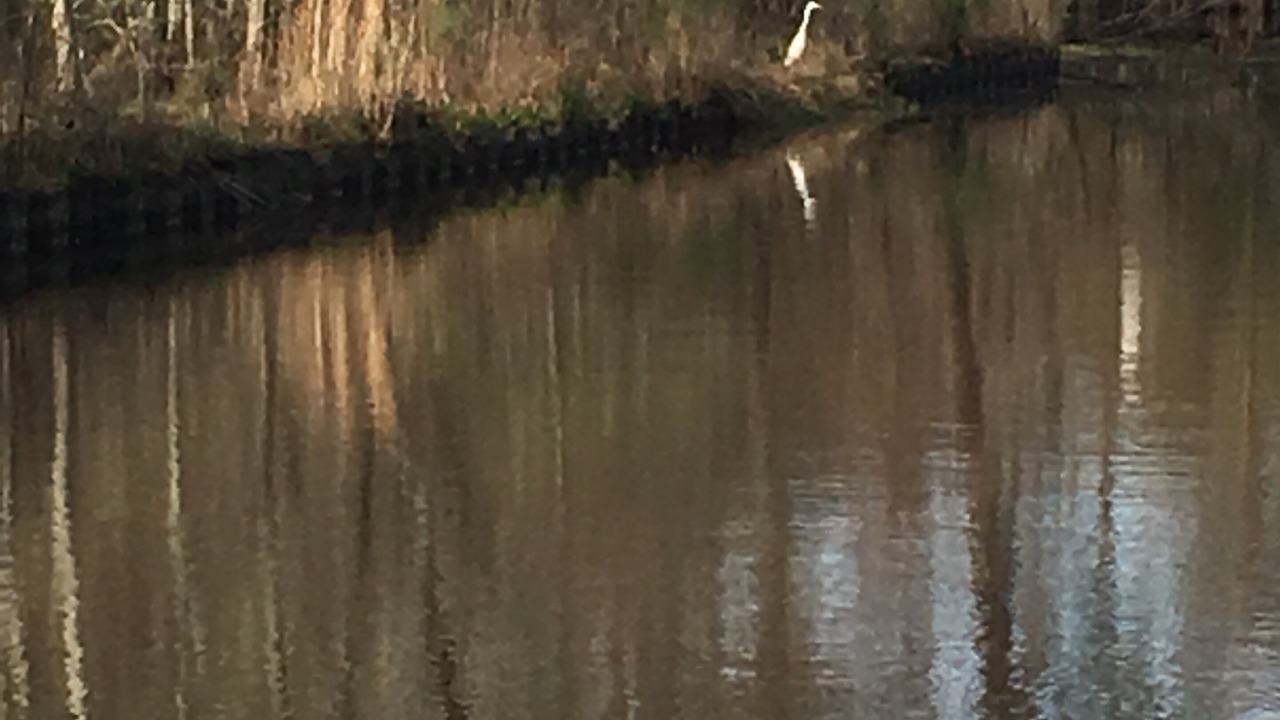 Photo of Others in Slidell