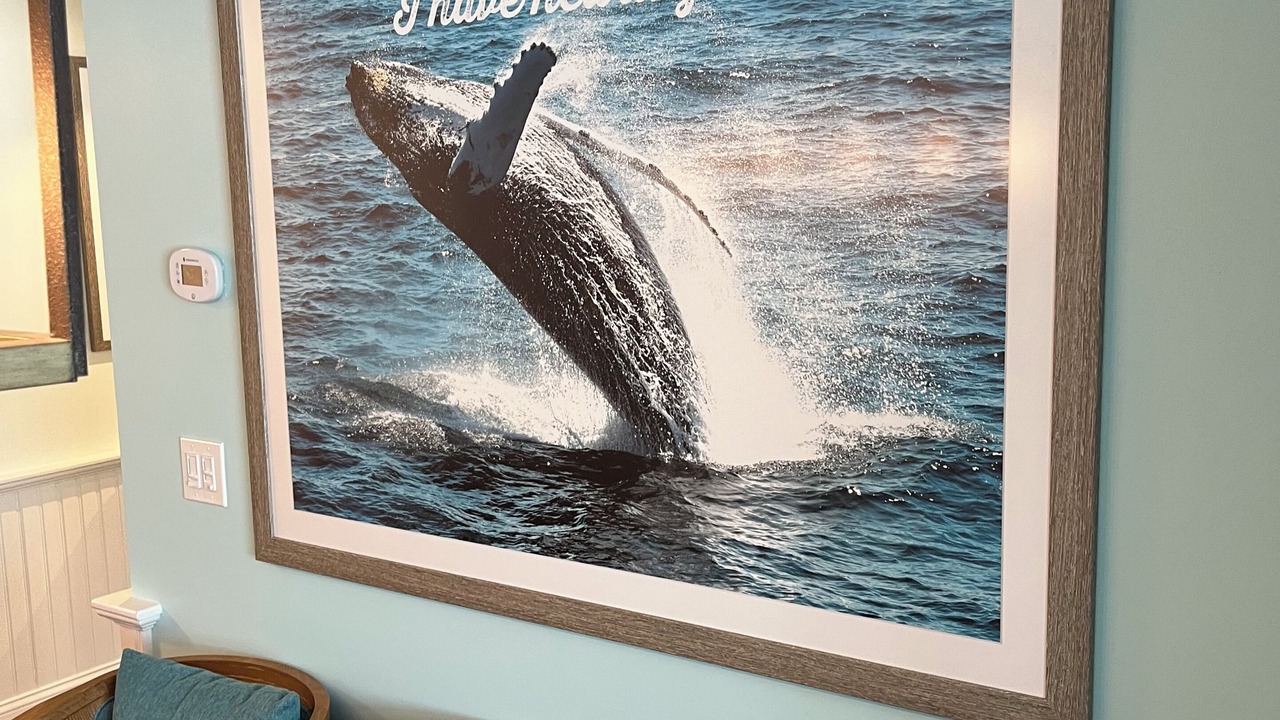 Photo of Others in Hyannis