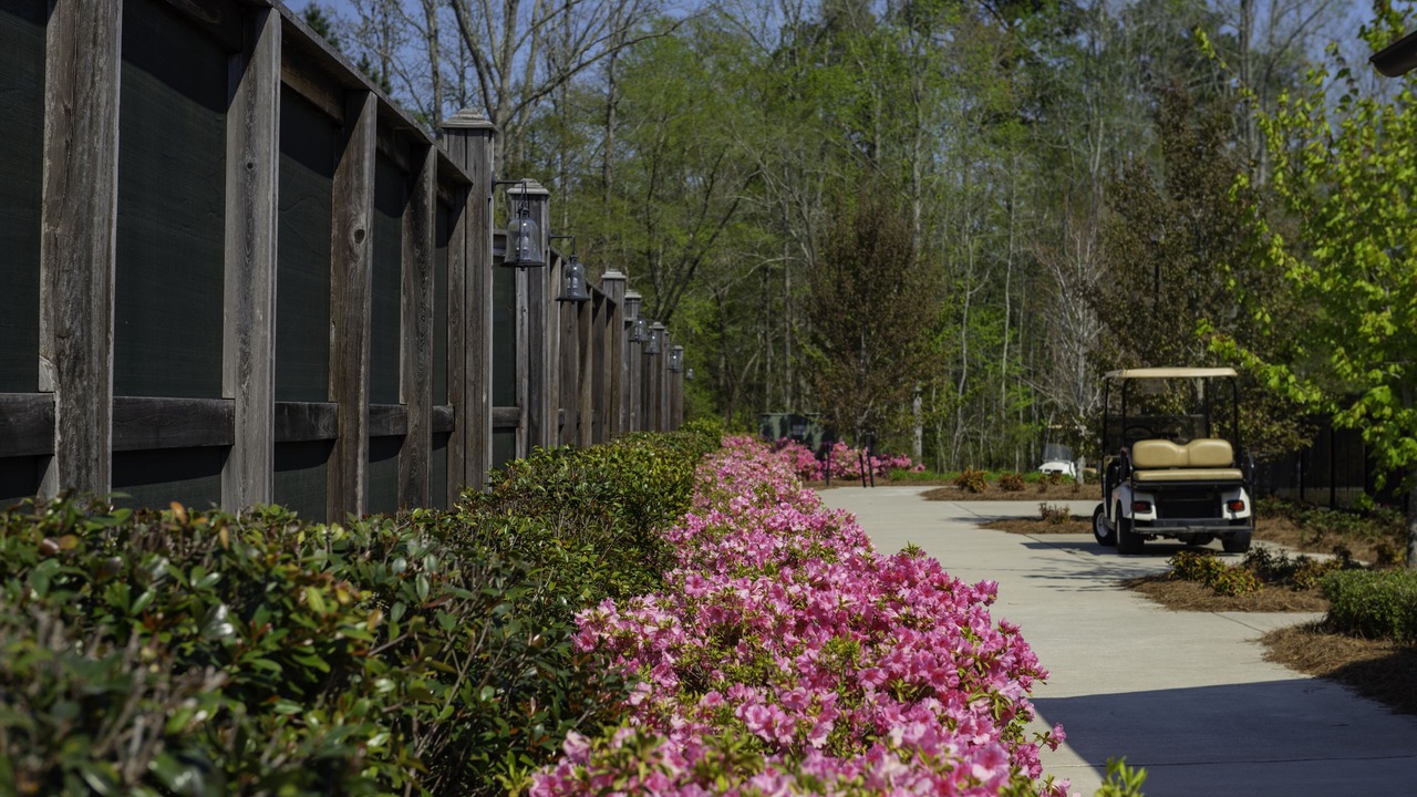 Photo of Outdoor in Douglasville
