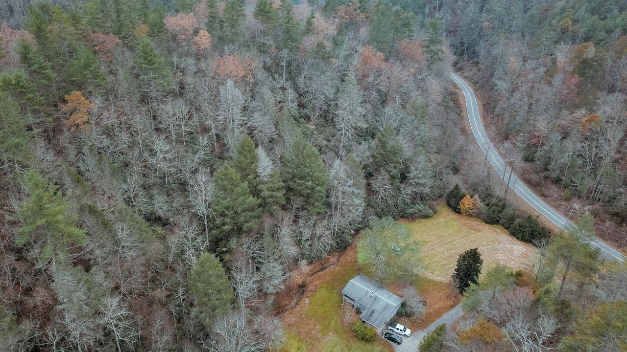 Photo of Others in Marshall