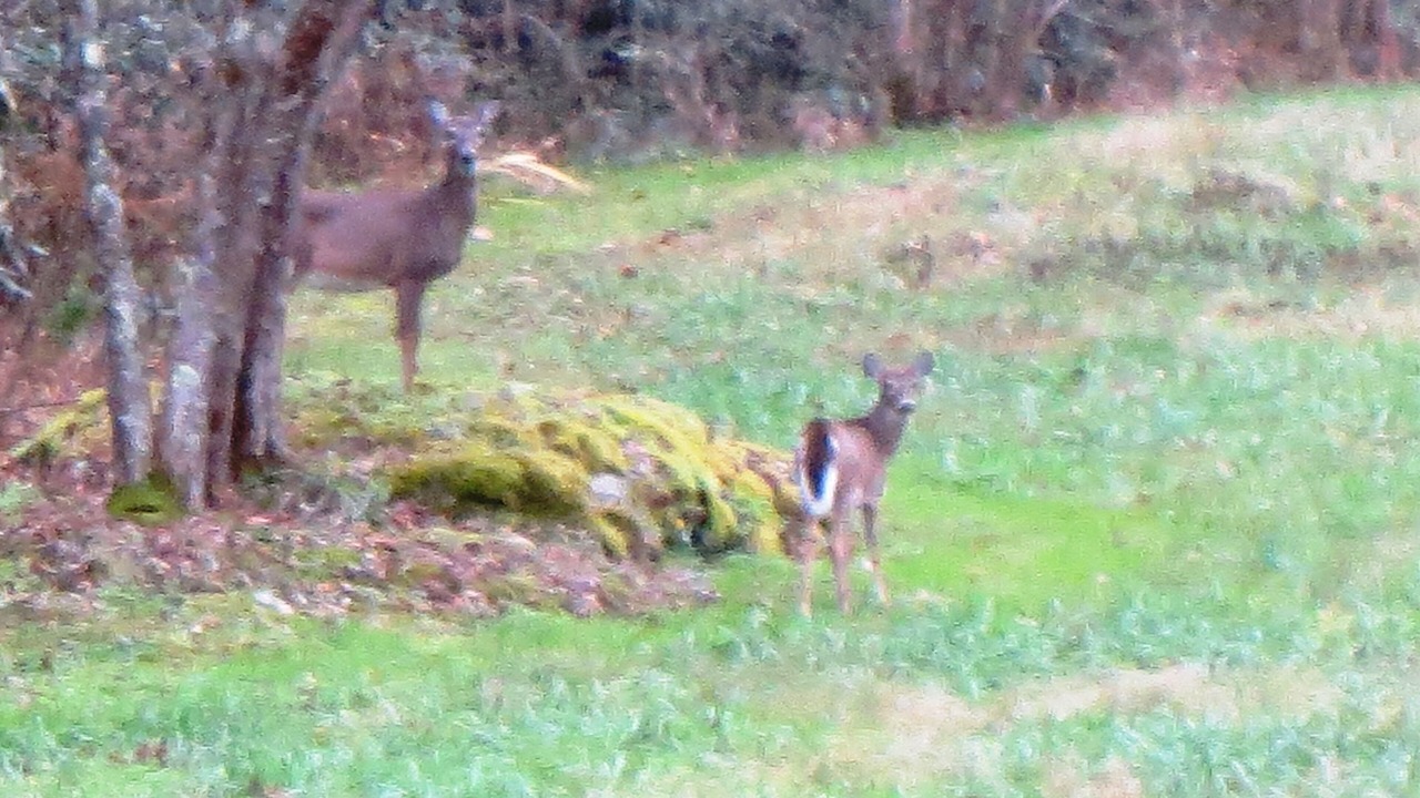 Photo of Others in Marshall