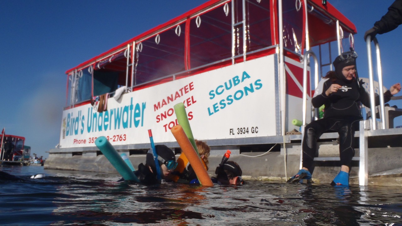 Photo of Others in Homosassa