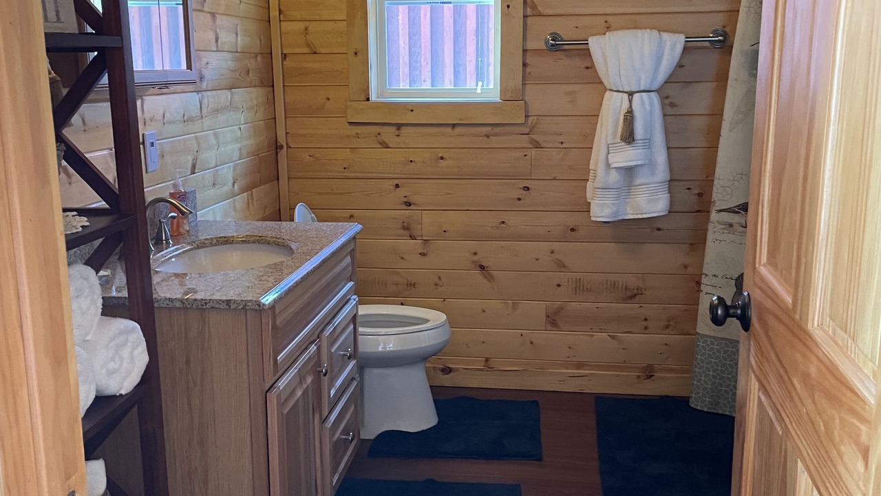 Photo of Bathroom in Homer