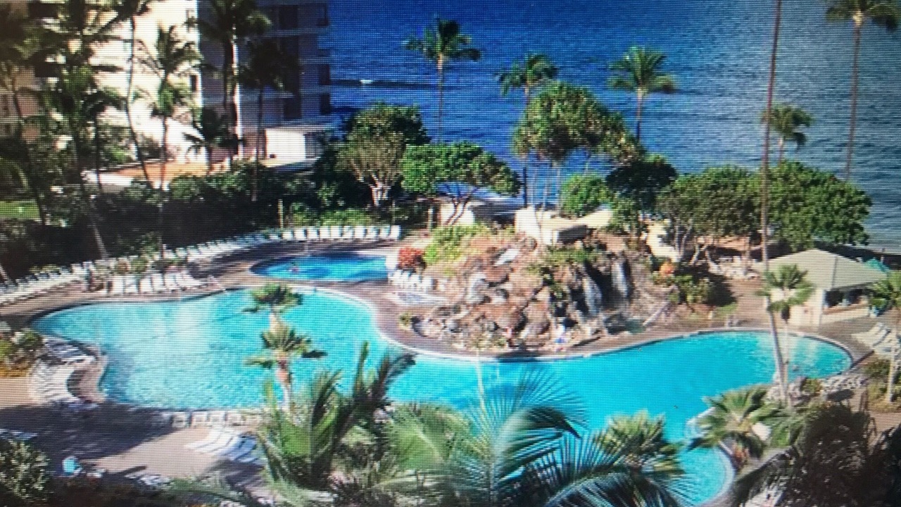 Photo of Outdoor in Honokowai