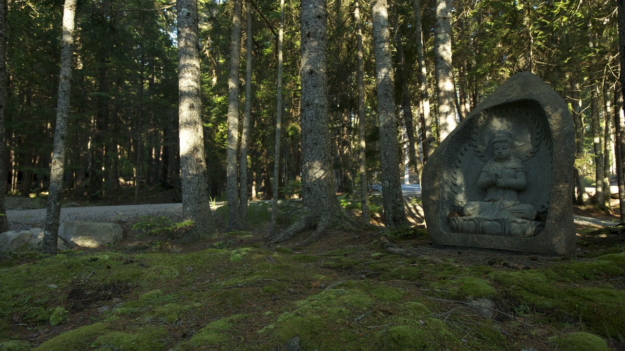 Photo of Outdoor in Southwest Harbor