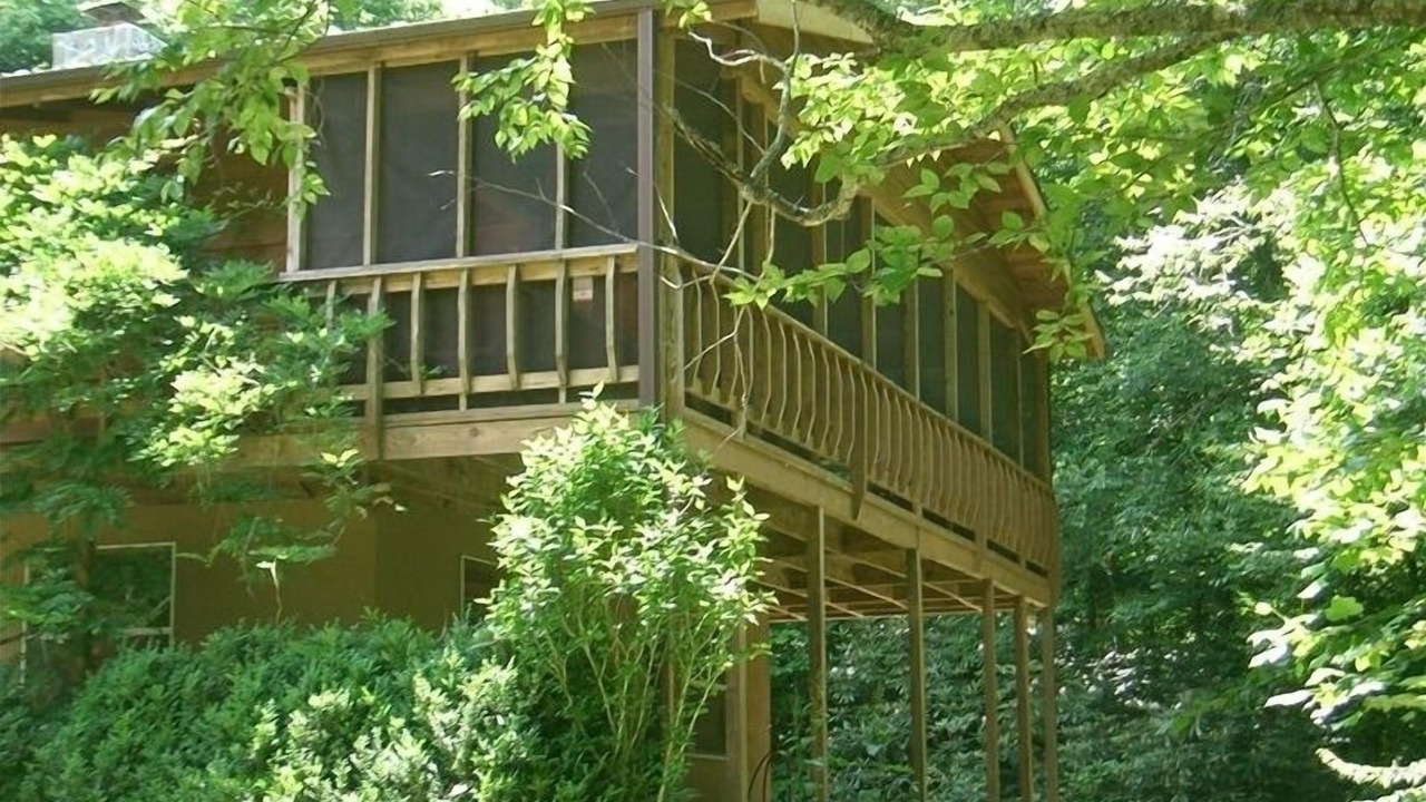 Photo of Outdoor in Mars Hill