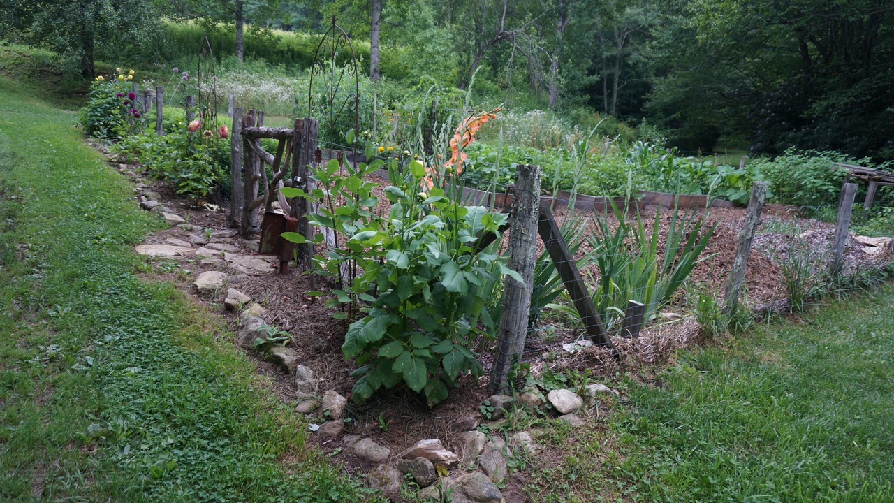 Photo of Outdoor in Mars Hill
