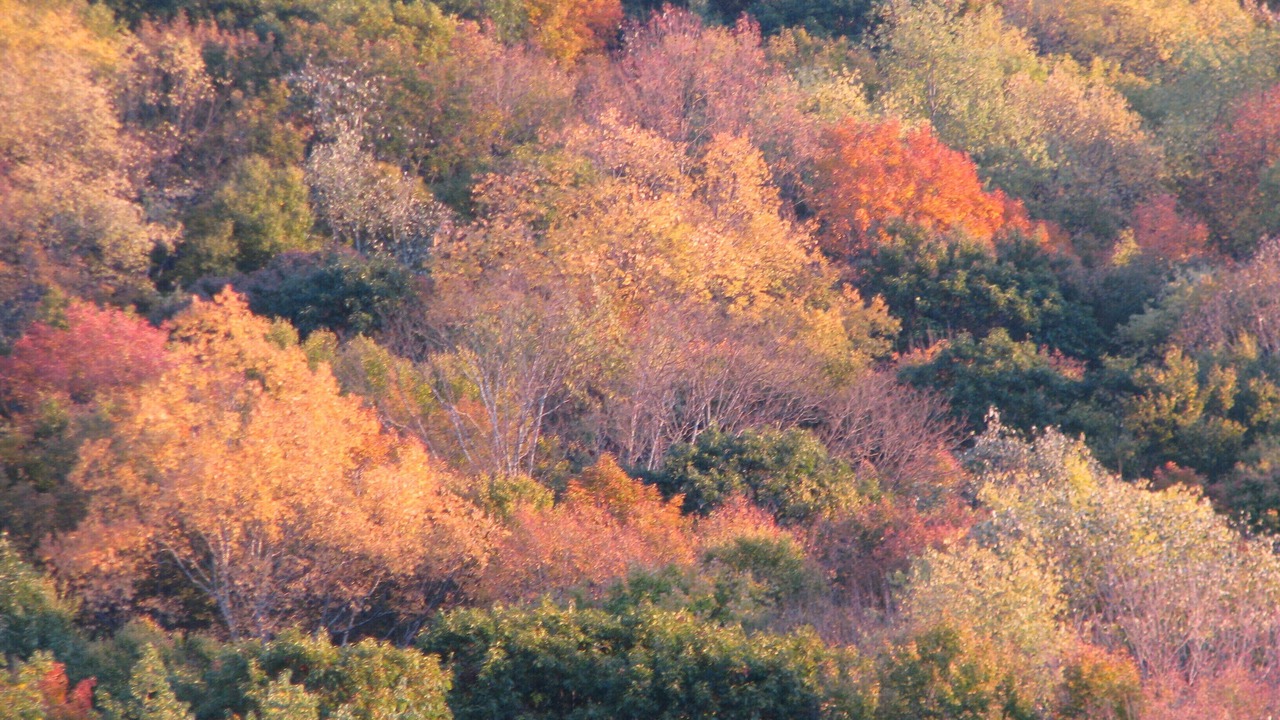 Photo of Others in Mars Hill