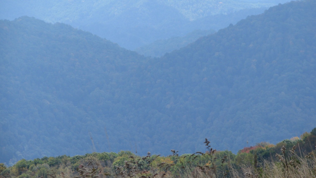 Photo of Others in Mars Hill