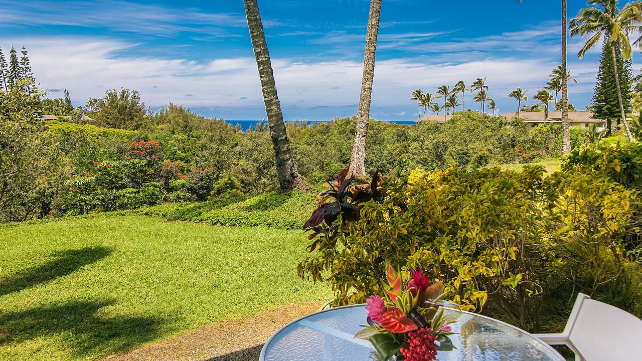 Photo of Others in Princeville