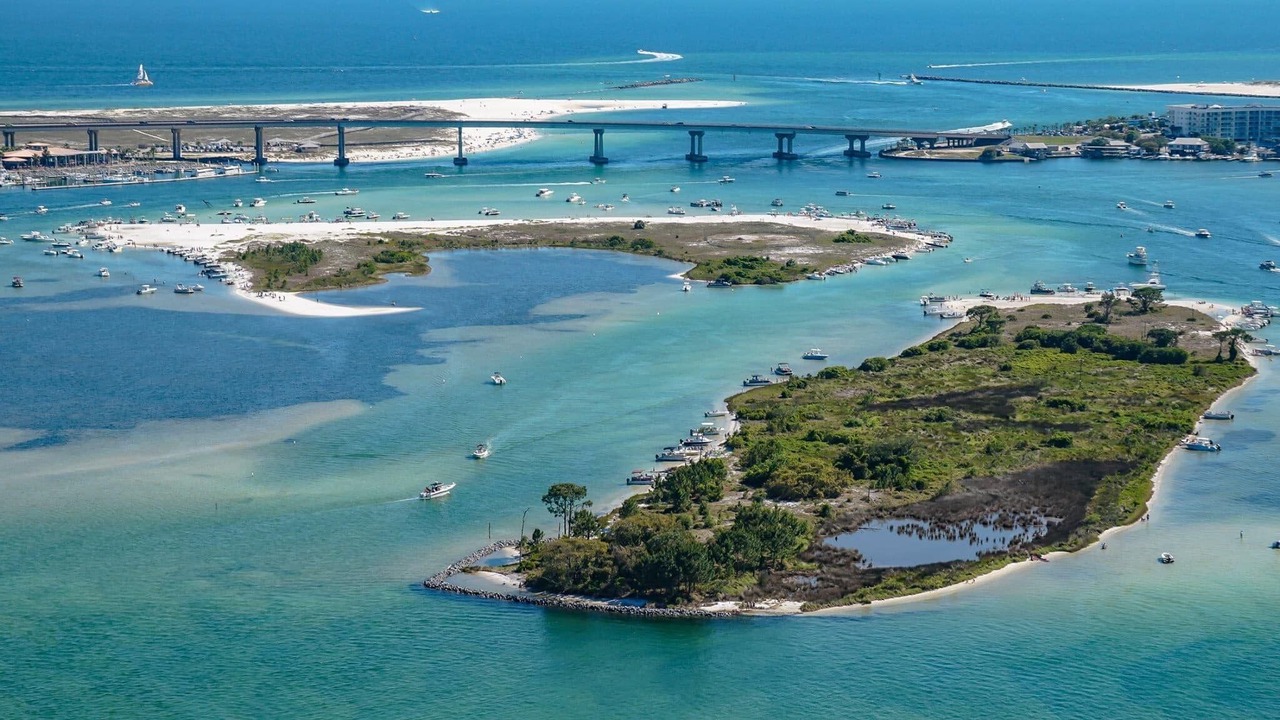 Photo of Others in Orange Beach East