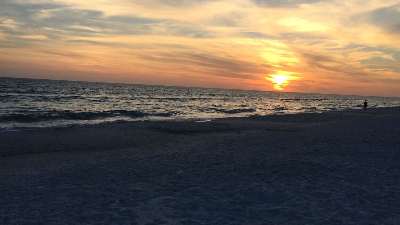 Photo of Others in West Panama City Beach